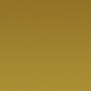 CM16 香檳金鏡面