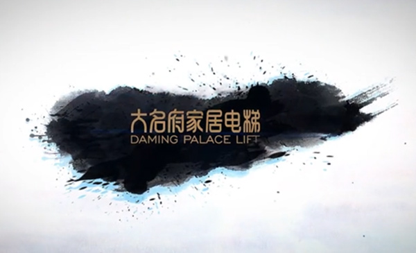 大名府家用電梯泰州實(shí)拍案例