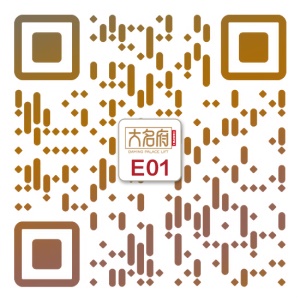 簡約風(fēng)別墅電梯E01