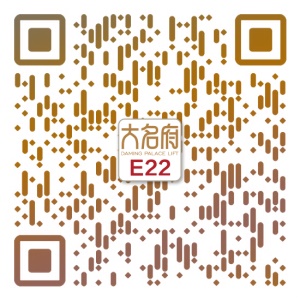 簡約風(fēng)別墅電梯E22