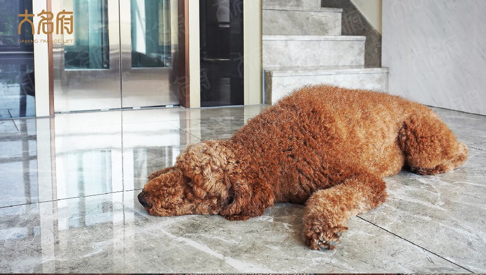 家用升降梯有哪些種類？優(yōu)缺點(diǎn)有哪些？