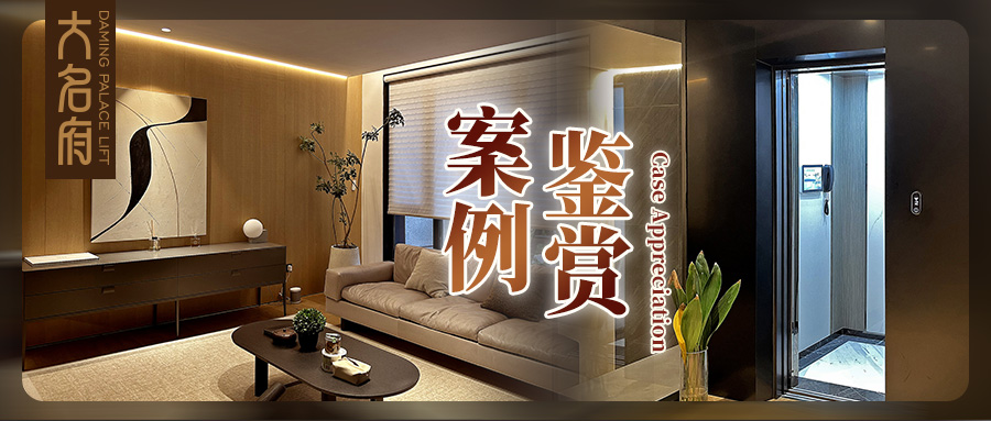 大名府家用電梯案例鑒賞 | 質(zhì)感生活×理性藝術(shù)，悅?cè)煌ㄐ械膴W秘